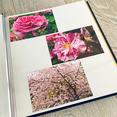 Getting Creative: An Easy ‘How-To’ Guide for Making Your Own Scrapbook