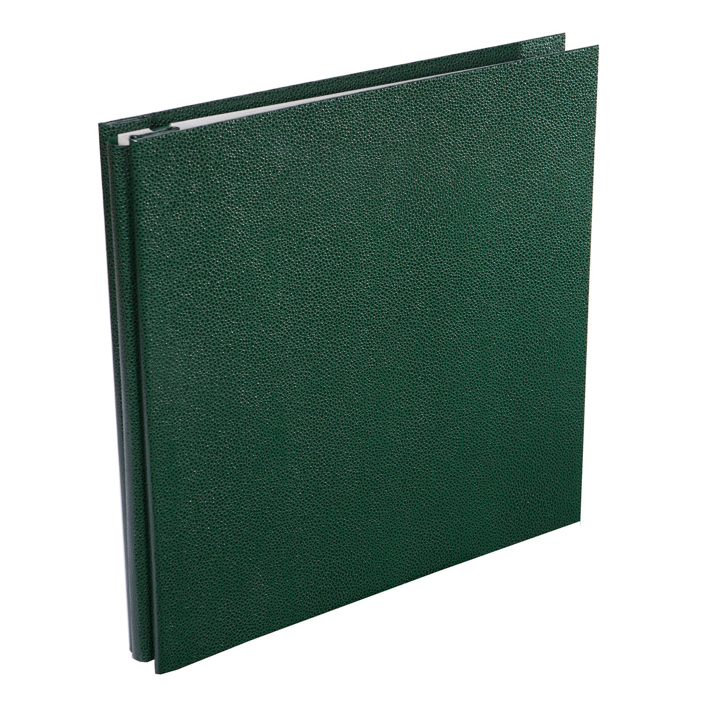 Self-adhesive Photo Album Pellaq